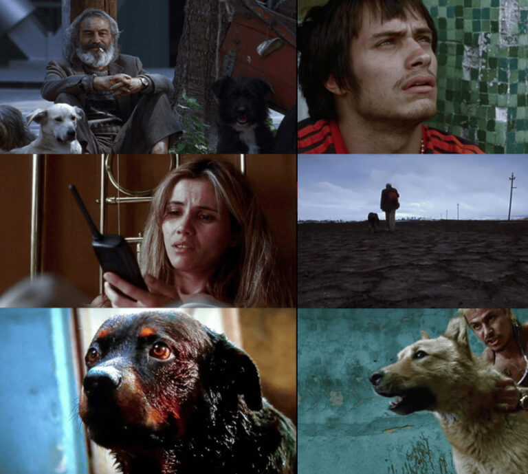 Reseña ‘Amores Perros’